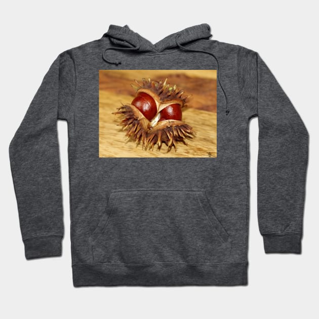 horse chestnut - conker Hoodie by Simon-dell
